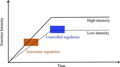 Automatic Reappraisal-Based Implementation Intention Produces Early and Sustainable Emotion Regulation Effects: Event-Related Potential Evidence